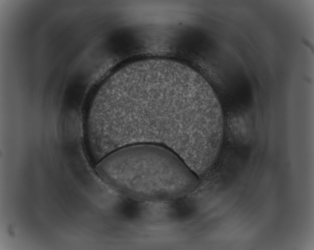 X0000095670734200801221204