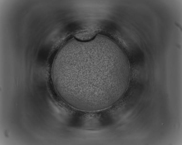 X0000095670736200801221204