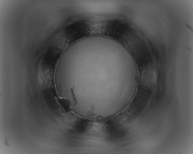 X0000095670737200801221204