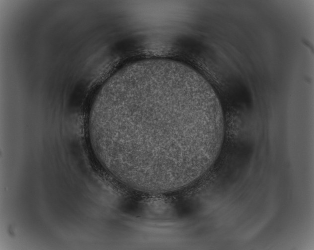 X0000095670738200801221204