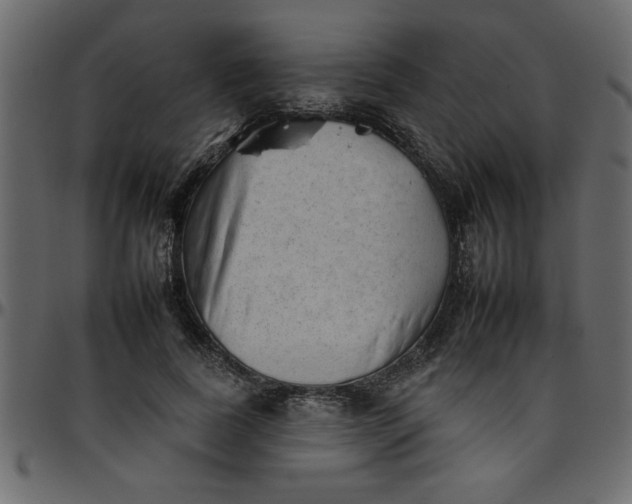 X0000095670739200801221204