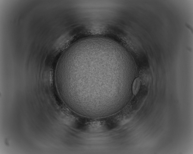 X0000095670740200801221204