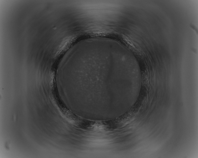 X0000095670742200801221204