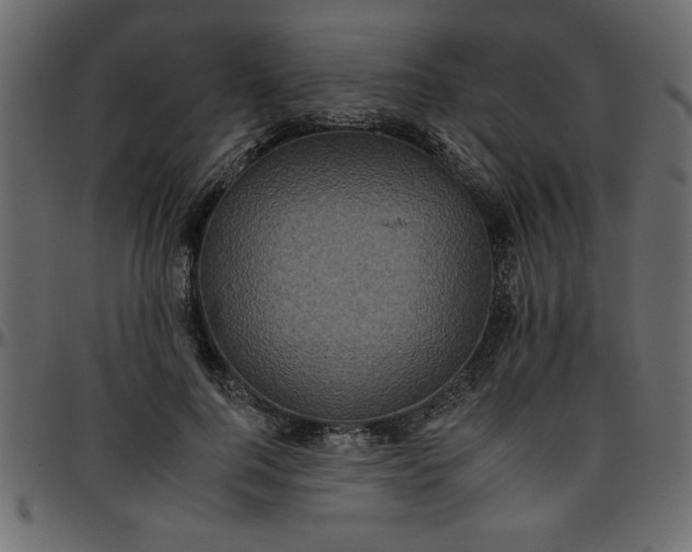 X0000095670744200801221204