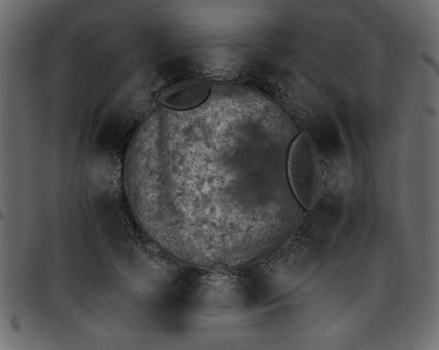 X0000095670745200801221204