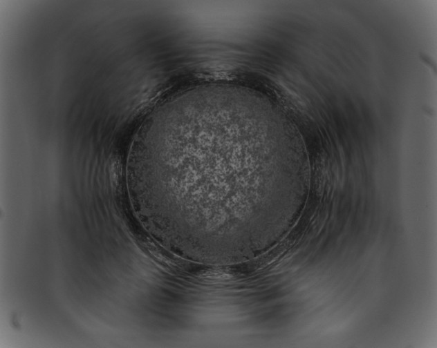 X0000095670747200801221204