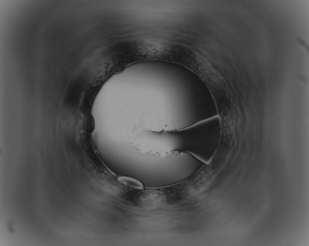 X0000095670750200801221204