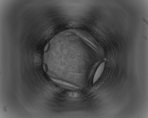 X0000095670751200801221204