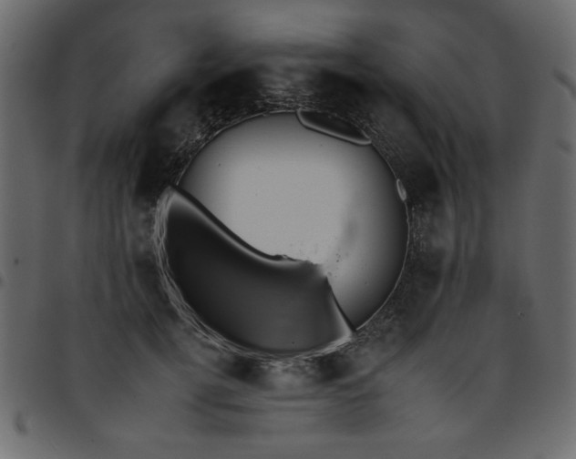 X0000095670752200801221204