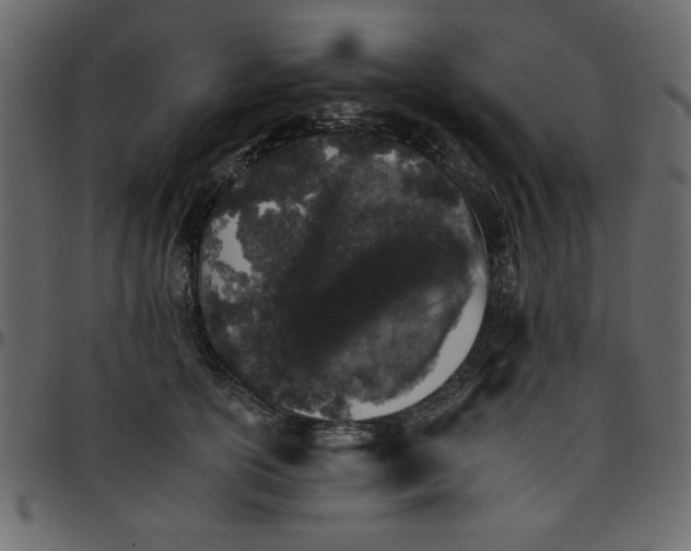 X0000095670754200801221204