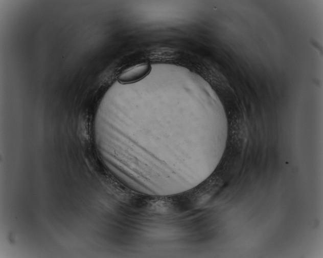 X0000095670755200801221204