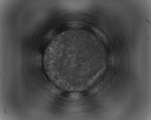 X0000095670757200801221204