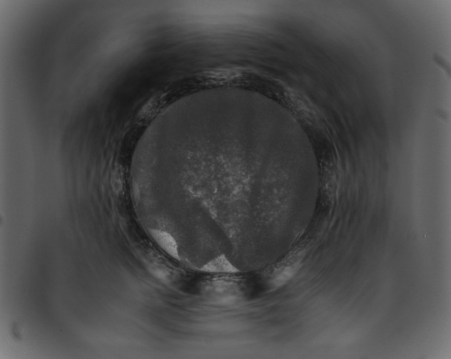 X0000095670758200801221204