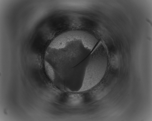 X0000095670759200801221204