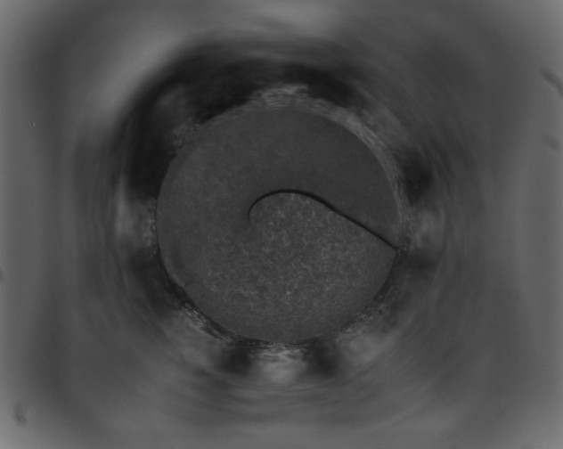 X0000095670760200801221204