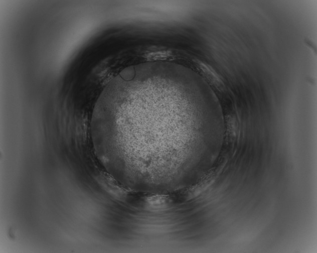 X0000095670761200801221204