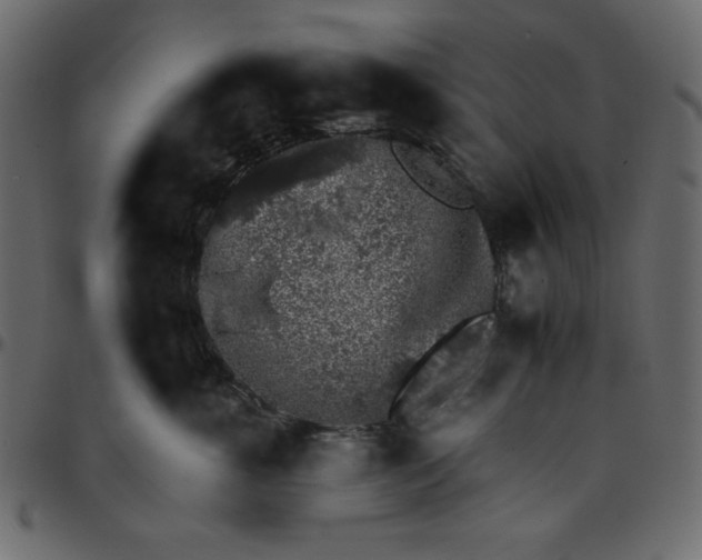 X0000095670763200801221204