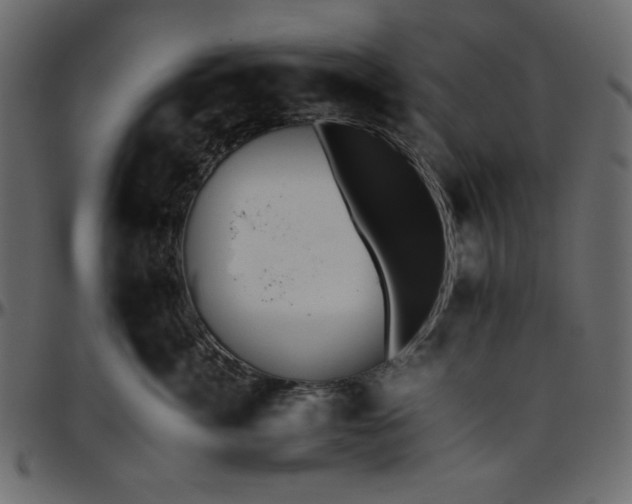 X0000095670764200801221204