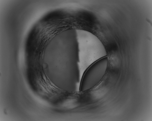 X0000095670765200801221204