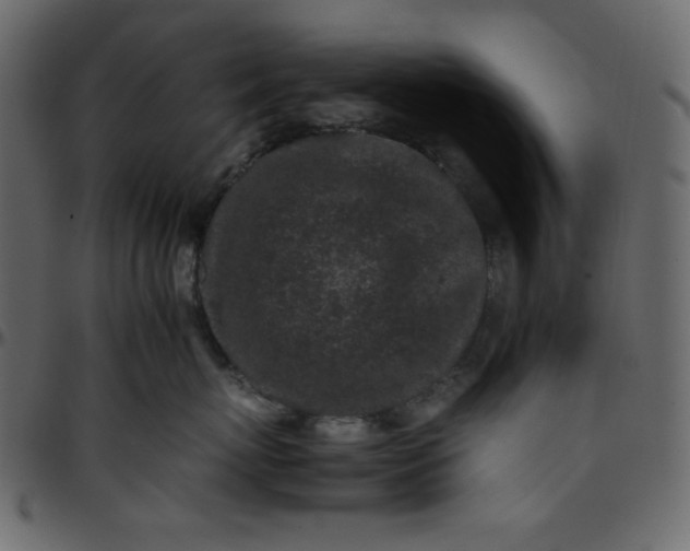 X0000095670767200801221204