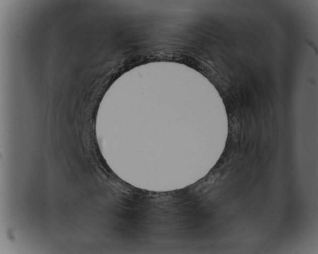 X0000095670769200801221203