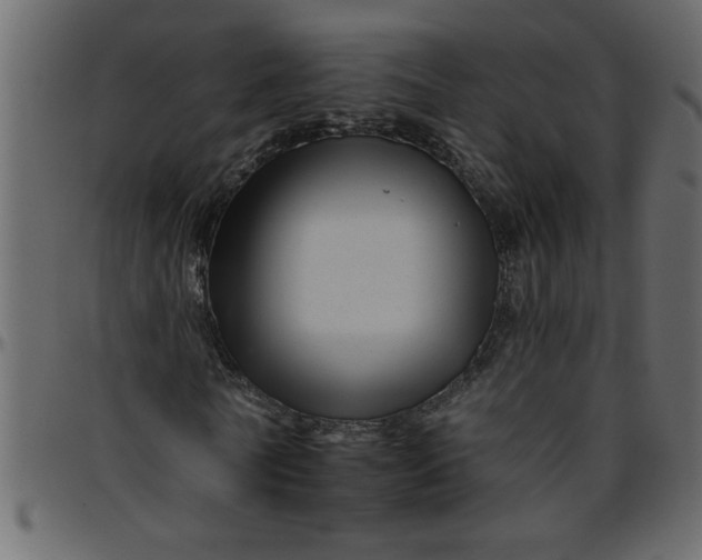 X0000095670770200801221203