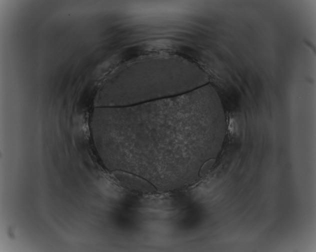 X0000095670771200801221203