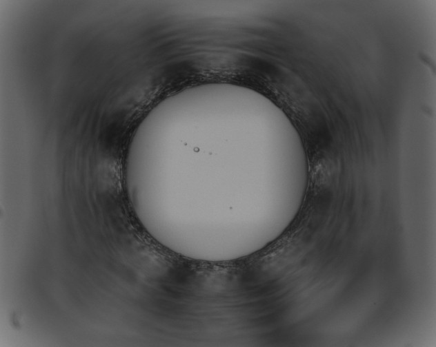 X0000095670772200801221203