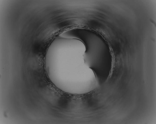 X0000095670773200801221203