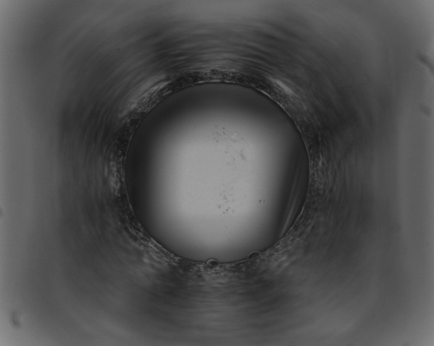 X0000095670774200801221203