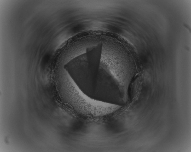 X0000095670775200801221203