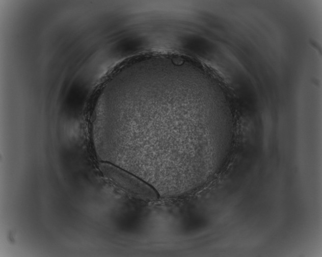 X0000095670776200801221203