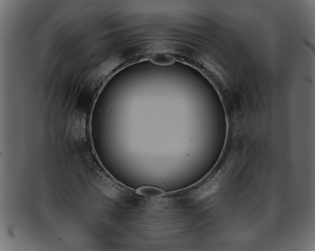 X0000095670777200801221203