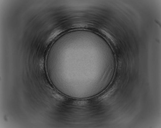 X0000095670778200801221203