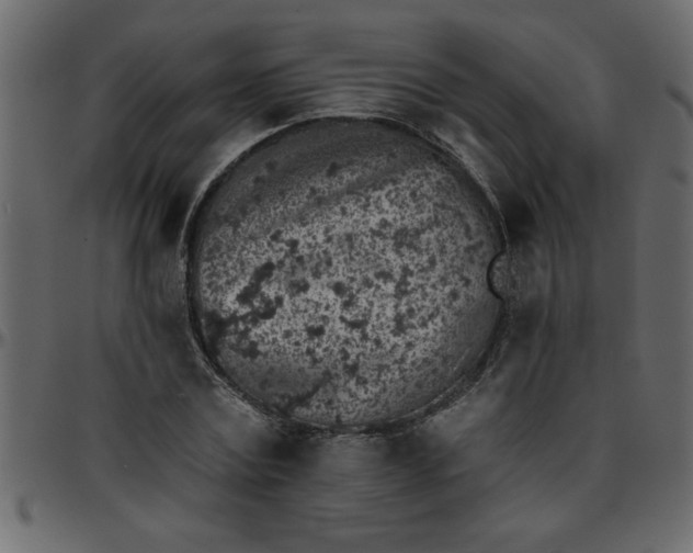 X0000095670779200801221203