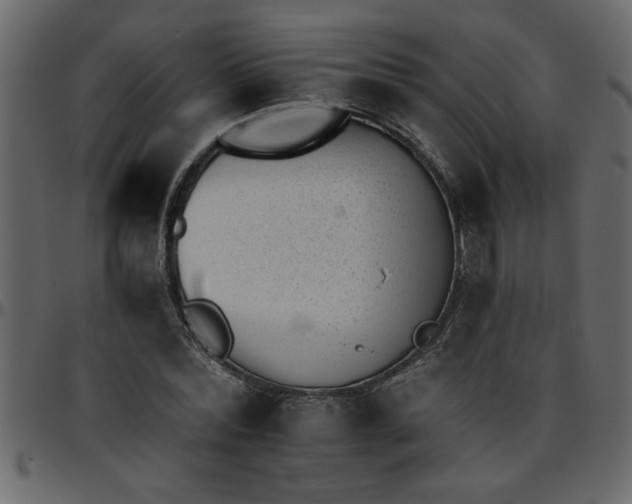 X0000095670780200801221203