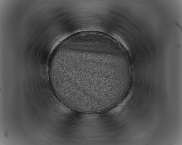 X0000095670781200801221203