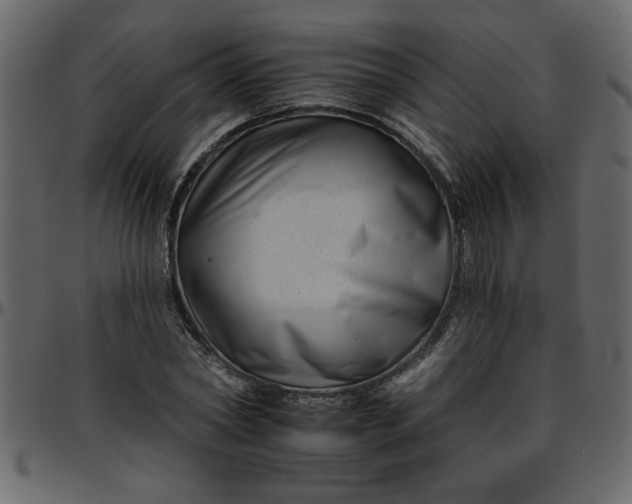 X0000095670782200801221203