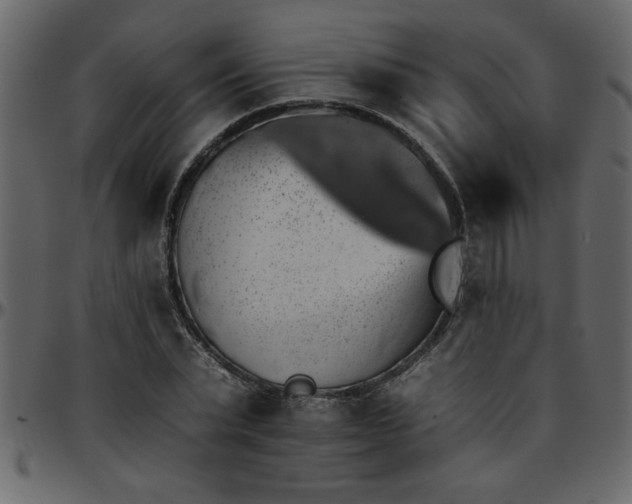 X0000095670783200801221203