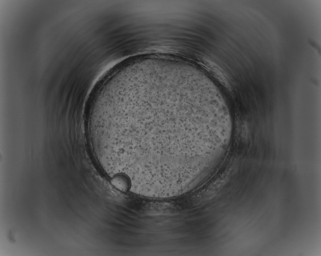 X0000095670784200801221203