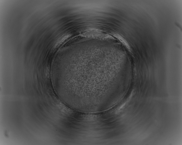 X0000095670785200801221203