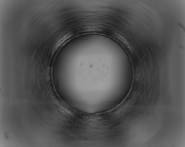 X0000095670786200801221203