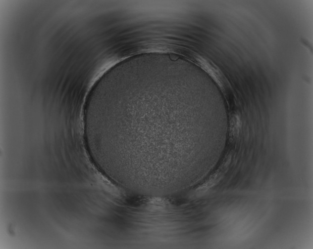 X0000095670787200801221203