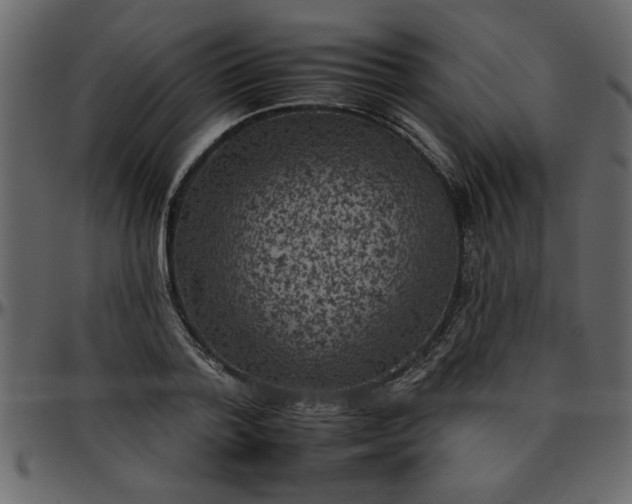 X0000095670788200801221203