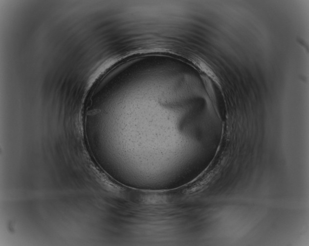 X0000095670789200801221203