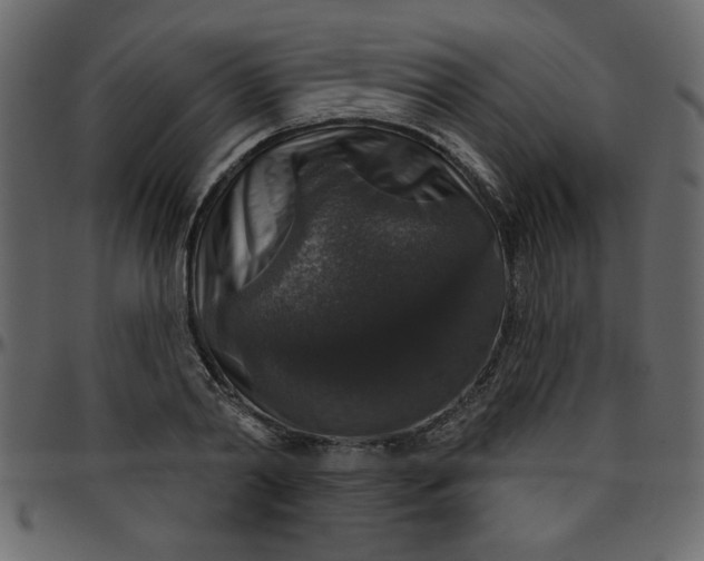 X0000095670790200801221203