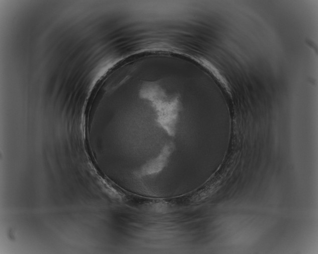 X0000095670791200801221203