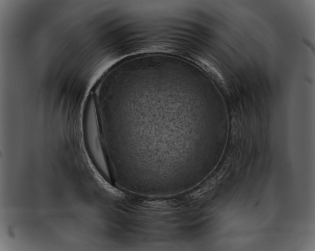 X0000095670792200801221203