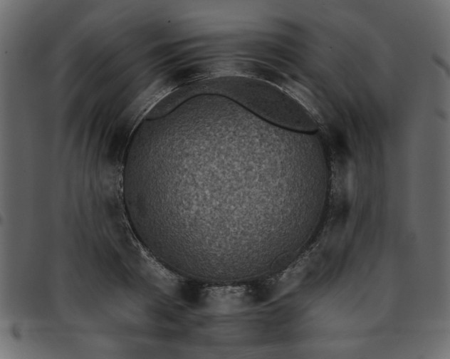 X0000095670793200801221203