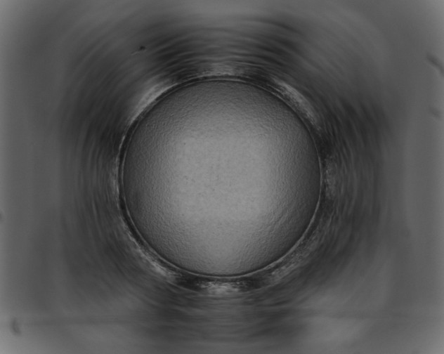 X0000095670794200801221203